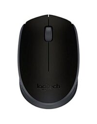 Logitech M171